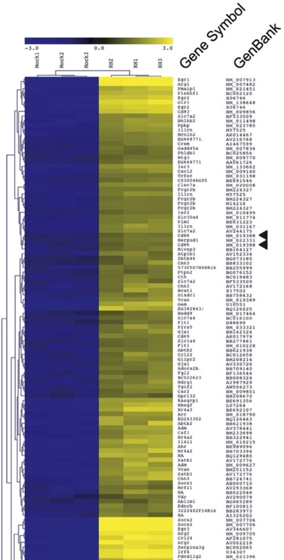 ArrayHeatMap